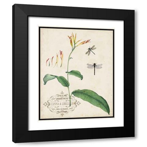 Canna and Dragonflies I Black Modern Wood Framed Art Print with Double Matting by Vision Studio