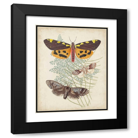 Butterflies and Ferns VI Black Modern Wood Framed Art Print with Double Matting by Vision Studio