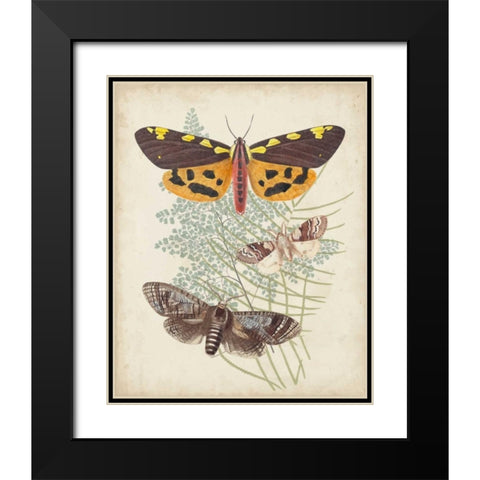 Butterflies and Ferns VI Black Modern Wood Framed Art Print with Double Matting by Vision Studio