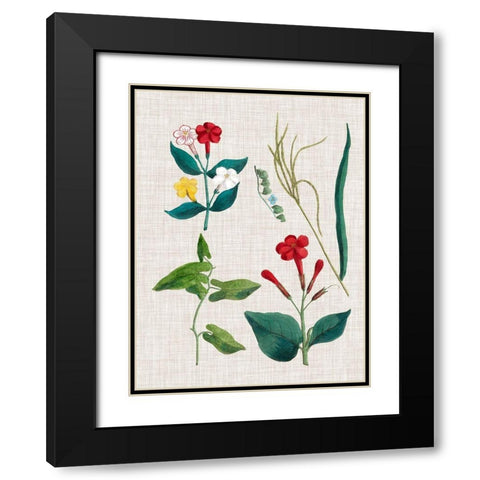 Floral Assemblage III Black Modern Wood Framed Art Print with Double Matting by Vision Studio
