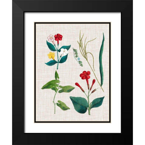 Floral Assemblage III Black Modern Wood Framed Art Print with Double Matting by Vision Studio