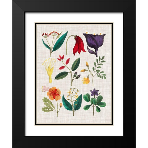 Floral Assemblage IV Black Modern Wood Framed Art Print with Double Matting by Vision Studio
