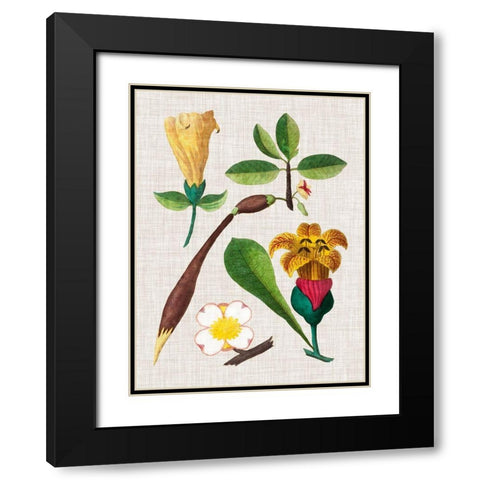 Floral Assemblage V Black Modern Wood Framed Art Print with Double Matting by Vision Studio