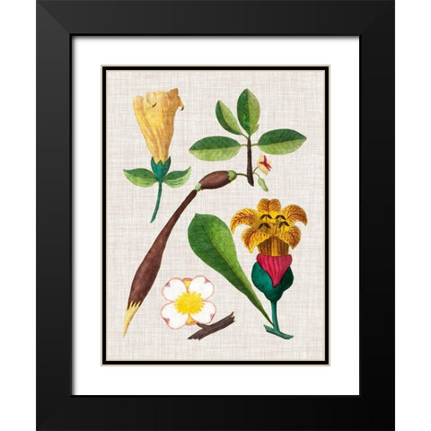 Floral Assemblage V Black Modern Wood Framed Art Print with Double Matting by Vision Studio