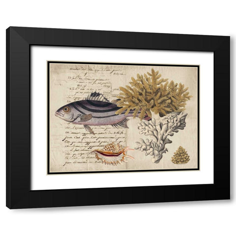 Sealife Journal III Black Modern Wood Framed Art Print with Double Matting by Vision Studio