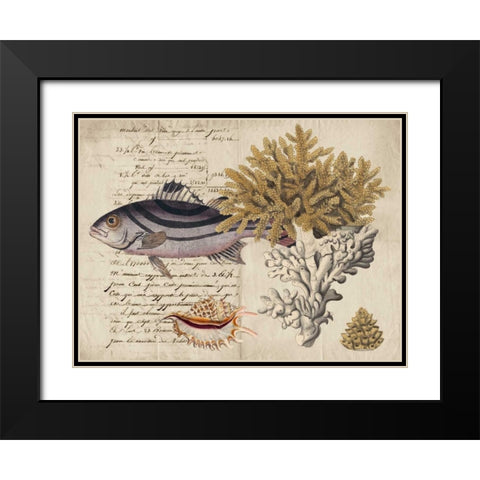Sealife Journal III Black Modern Wood Framed Art Print with Double Matting by Vision Studio