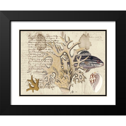 Sealife Journal IV Black Modern Wood Framed Art Print with Double Matting by Vision Studio