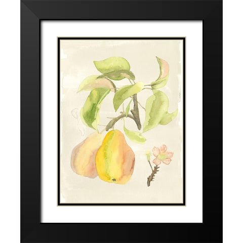 Custom Watercolor Fruit III (ASH) Black Modern Wood Framed Art Print with Double Matting by McCavitt, Naomi