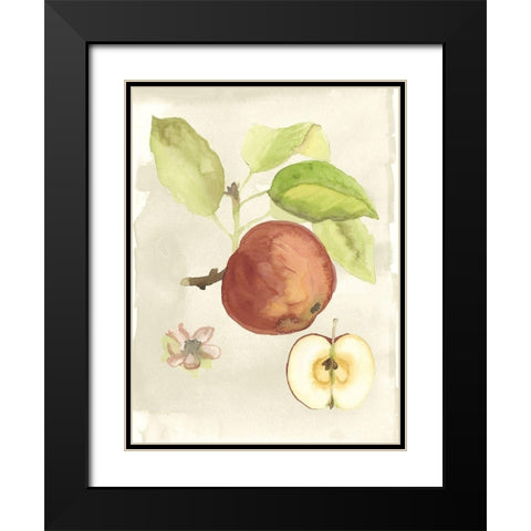 Custom Watercolor Fruit IV (ASH) Black Modern Wood Framed Art Print with Double Matting by McCavitt, Naomi