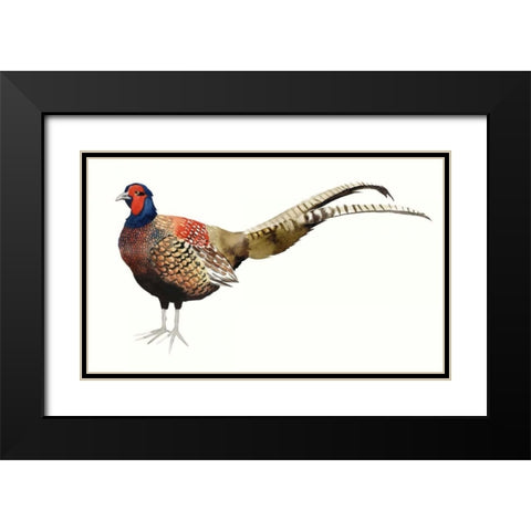 Watercolor Pheasant II Black Modern Wood Framed Art Print with Double Matting by Popp, Grace