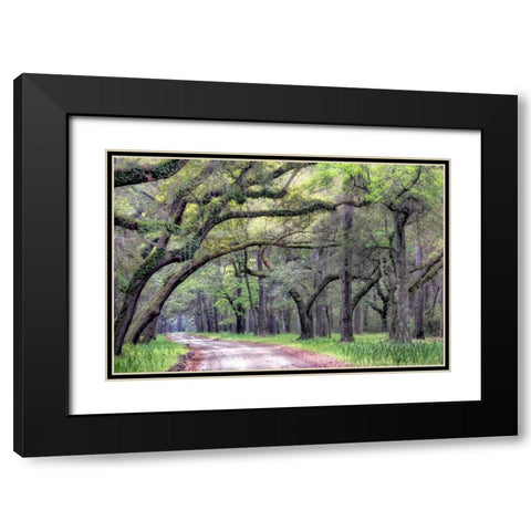 Dirt Road I Black Modern Wood Framed Art Print with Double Matting by Head, Danny