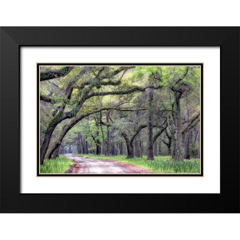 Dirt Road I Black Modern Wood Framed Art Print with Double Matting by Head, Danny