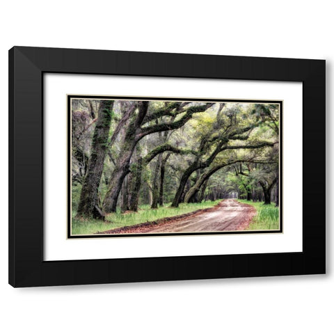Dirt Road II Black Modern Wood Framed Art Print with Double Matting by Head, Danny