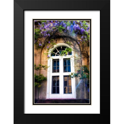Wisteria Black Modern Wood Framed Art Print with Double Matting by Head, Danny