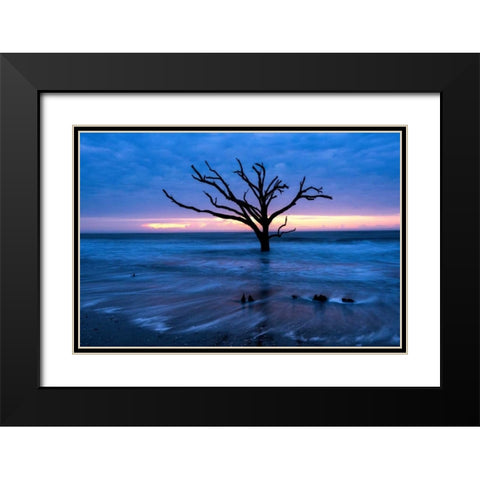 All that Remains Black Modern Wood Framed Art Print with Double Matting by Head, Danny