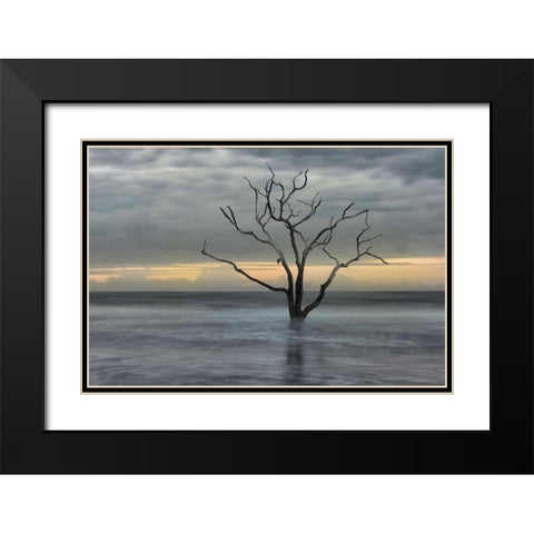 Gray Skies Black Modern Wood Framed Art Print with Double Matting by Head, Danny