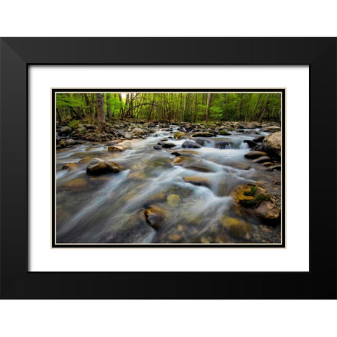 Golden Flow Black Modern Wood Framed Art Print with Double Matting by Head, Danny