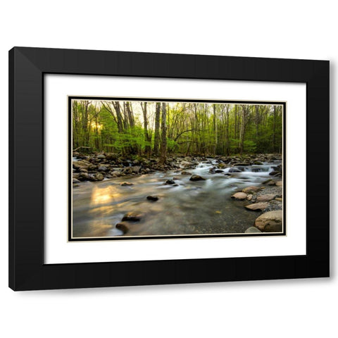 Morning Sunshine I Black Modern Wood Framed Art Print with Double Matting by Head, Danny