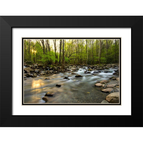 Morning Sunshine I Black Modern Wood Framed Art Print with Double Matting by Head, Danny