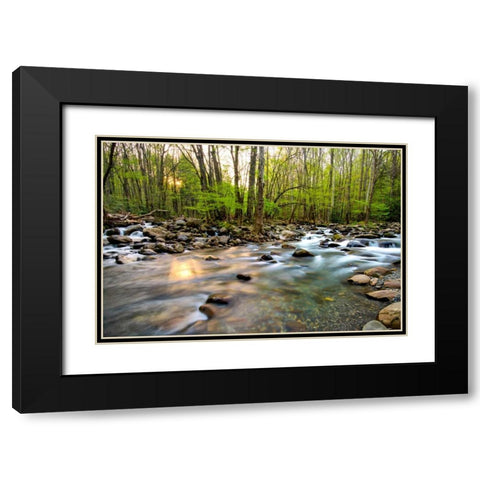 Morning Sunshine II Black Modern Wood Framed Art Print with Double Matting by Head, Danny