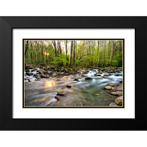 Morning Sunshine II Black Modern Wood Framed Art Print with Double Matting by Head, Danny