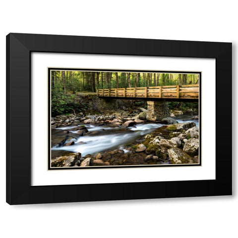 Bridge and Cascade I Black Modern Wood Framed Art Print with Double Matting by Head, Danny