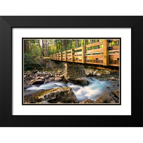 Bridge and Cascade II Black Modern Wood Framed Art Print with Double Matting by Head, Danny