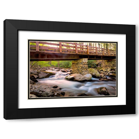 Bridge and Cascade III Black Modern Wood Framed Art Print with Double Matting by Head, Danny