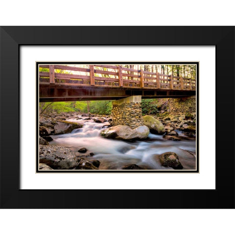 Bridge and Cascade III Black Modern Wood Framed Art Print with Double Matting by Head, Danny