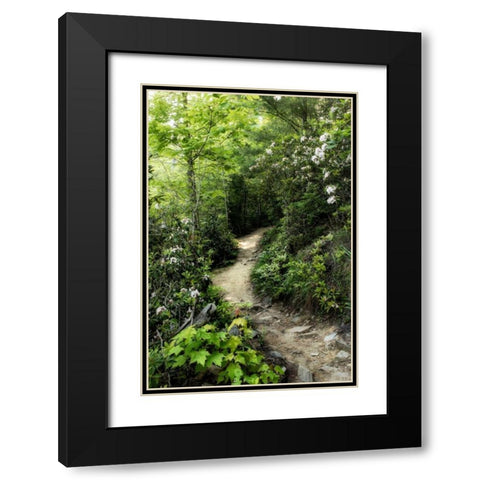 Mountain Trail Black Modern Wood Framed Art Print with Double Matting by Head, Danny