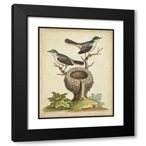 Natural Habitat II Black Modern Wood Framed Art Print with Double Matting by Edwards, George