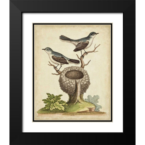 Natural Habitat II Black Modern Wood Framed Art Print with Double Matting by Edwards, George