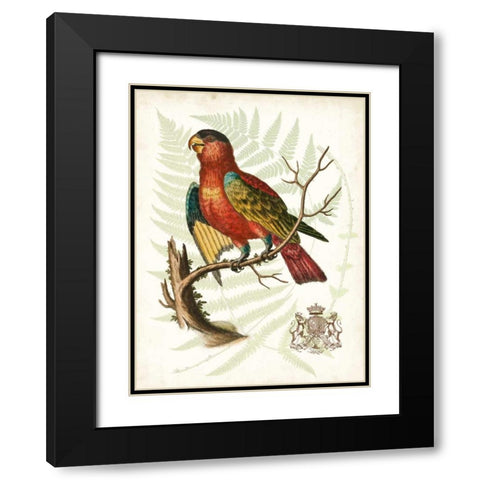 Regal Parrots II Black Modern Wood Framed Art Print with Double Matting by Vision Studio