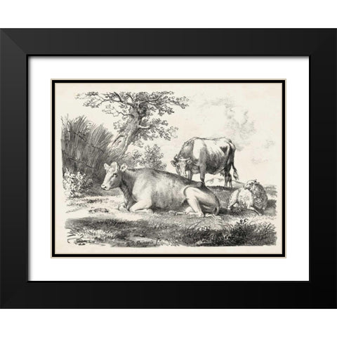 Rural Charms IV Black Modern Wood Framed Art Print with Double Matting by Unknown