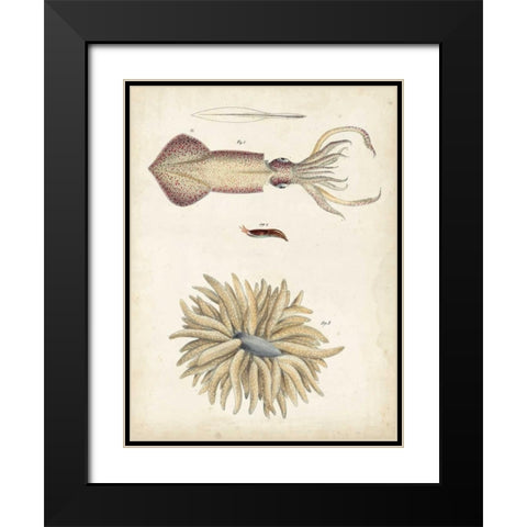 Ocean Curiosities I Black Modern Wood Framed Art Print with Double Matting by Dekay