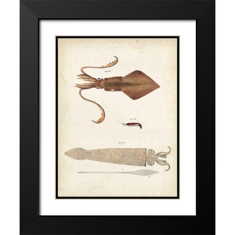 Ocean Curiosities II Black Modern Wood Framed Art Print with Double Matting by Dekay