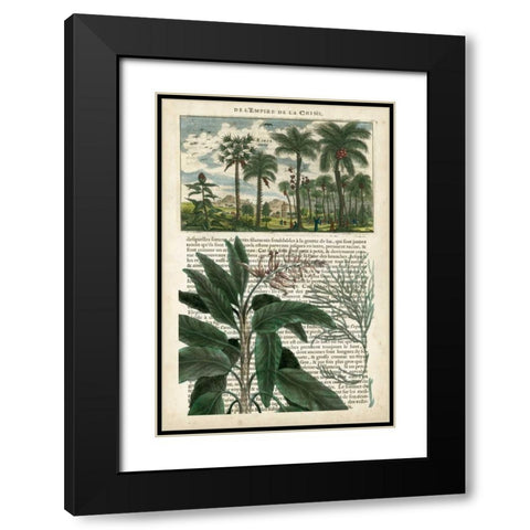 Journal of the Tropics I Black Modern Wood Framed Art Print with Double Matting by Vision Studio