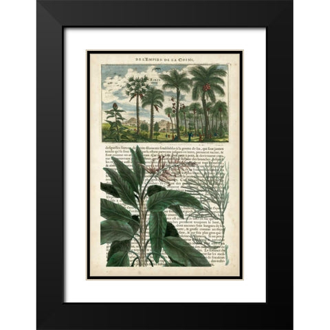 Journal of the Tropics I Black Modern Wood Framed Art Print with Double Matting by Vision Studio