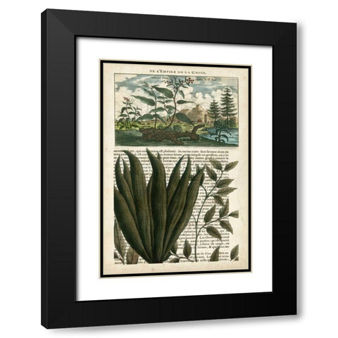 Journal of the Tropics III Black Modern Wood Framed Art Print with Double Matting by Vision Studio