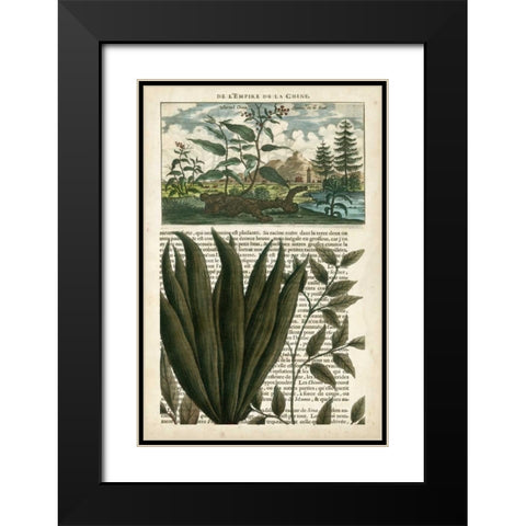 Journal of the Tropics III Black Modern Wood Framed Art Print with Double Matting by Vision Studio