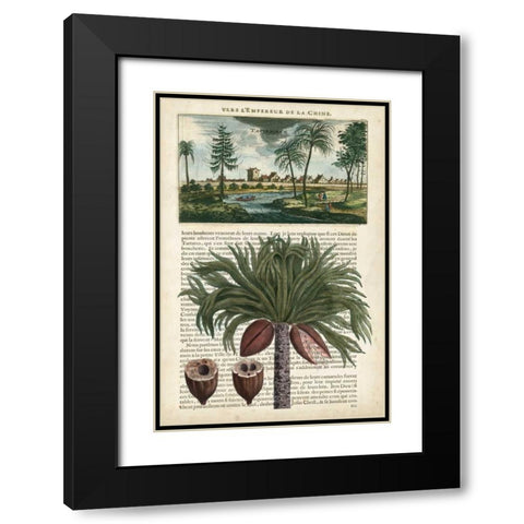 Journal of the Tropics IV Black Modern Wood Framed Art Print with Double Matting by Vision Studio