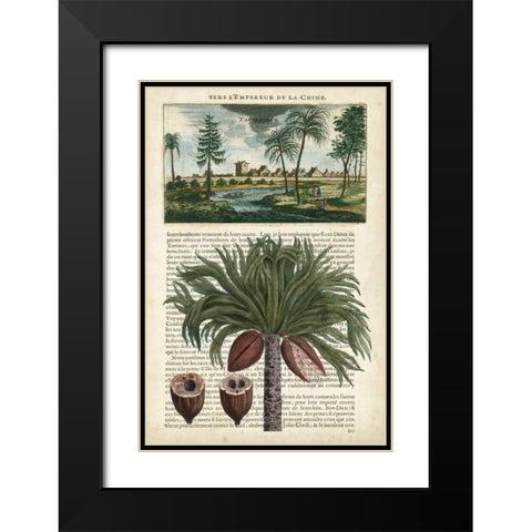 Journal of the Tropics IV Black Modern Wood Framed Art Print with Double Matting by Vision Studio