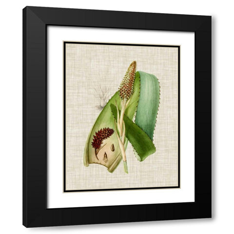 Elegant Tropicals I Black Modern Wood Framed Art Print with Double Matting by Vision Studio