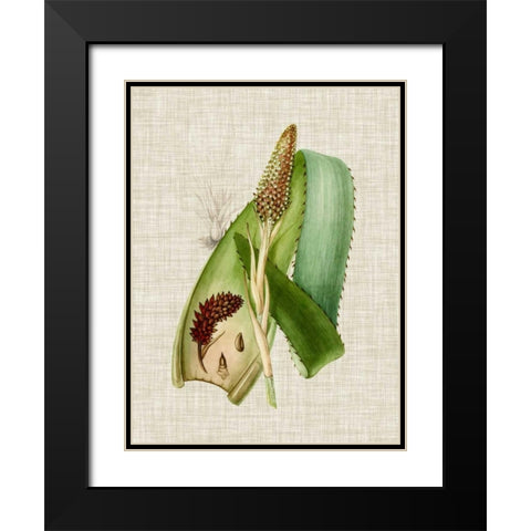 Elegant Tropicals I Black Modern Wood Framed Art Print with Double Matting by Vision Studio