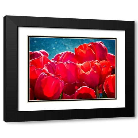 Fuchsia Tulips II Black Modern Wood Framed Art Print with Double Matting by Perry, Rachel