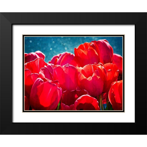 Fuchsia Tulips II Black Modern Wood Framed Art Print with Double Matting by Perry, Rachel
