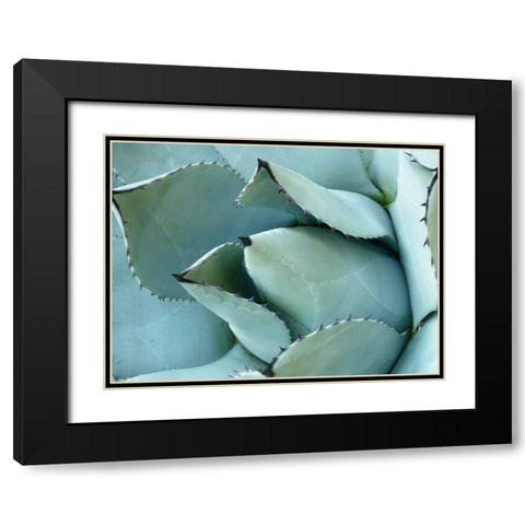 Agave Detail I Black Modern Wood Framed Art Print with Double Matting by Alison Jerry