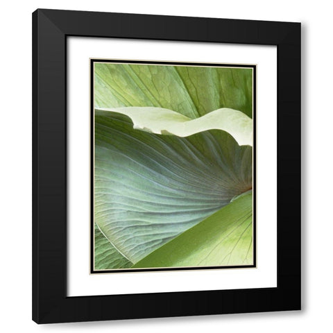 Banana Leaf I Black Modern Wood Framed Art Print with Double Matting by Jerry, Alison