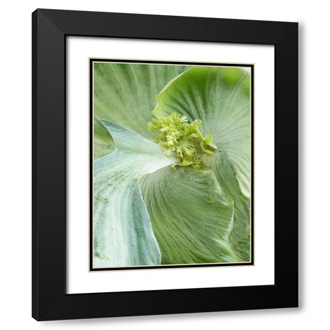 Banana Leaf II Black Modern Wood Framed Art Print with Double Matting by Jerry, Alison