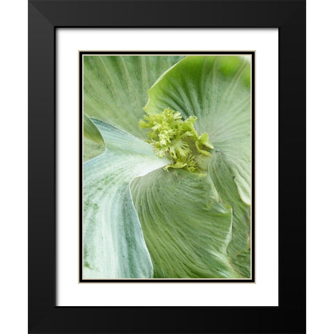 Banana Leaf II Black Modern Wood Framed Art Print with Double Matting by Jerry, Alison